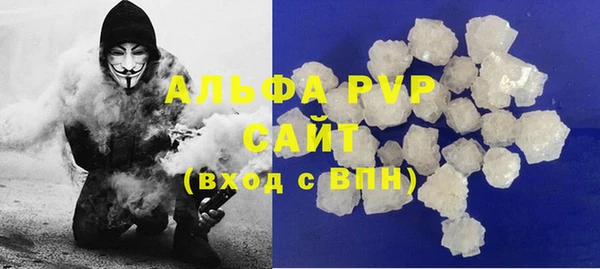 гидра Покачи