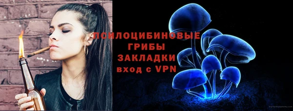 spice Кадников