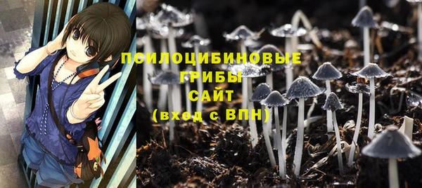 гидра Покачи