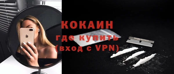 шишки Покровск