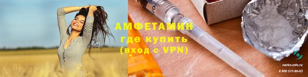 прущие грибы Бугульма