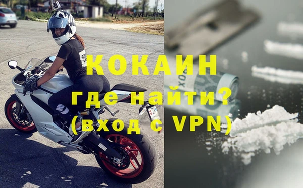 гидра Покачи