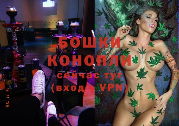 гидра Покачи