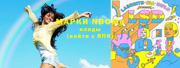 гидра Покачи