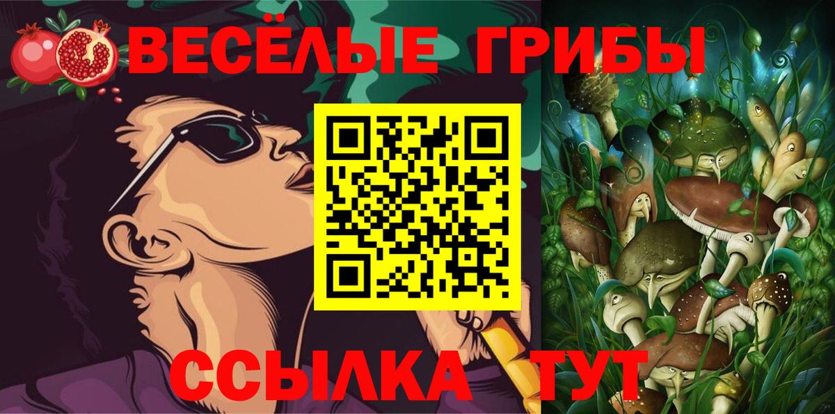 Галлюциногенные грибы Cubensis Удомля