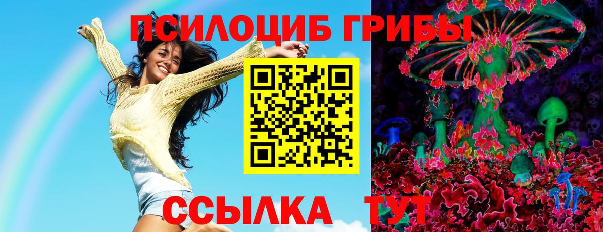 Псилоцибиновые грибы MAGIC MUSHROOMS  Вход с VPN  Псилоцибиновые грибы ЛСД  Удомля 