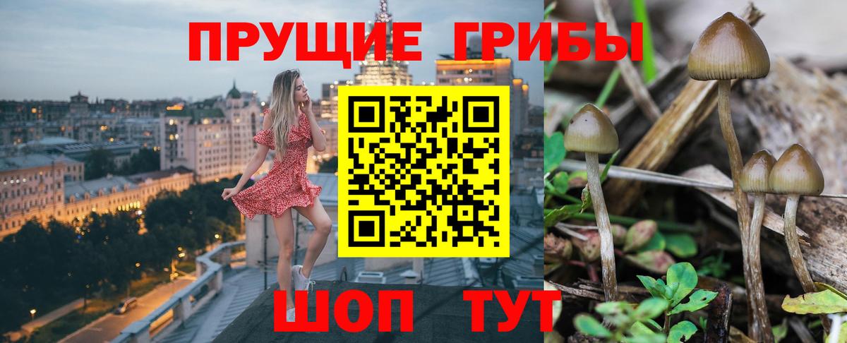 Псилоцибиновые грибы GOLDEN TEACHER  Псилоцибиновые грибы GOLDEN TEACHER  Удомля  Вход с VPN 