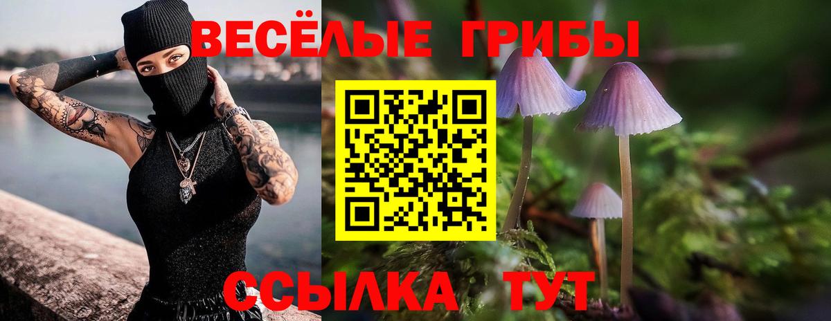 Псилоцибиновые грибы мицелий  Галлюциногенные грибы Cubensis  наркотики  Удомля 